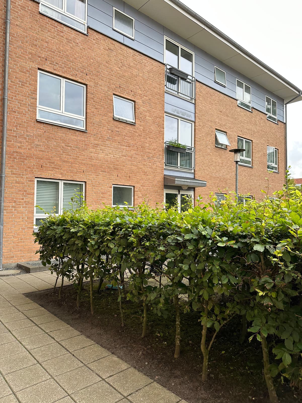 image-ibudar-details